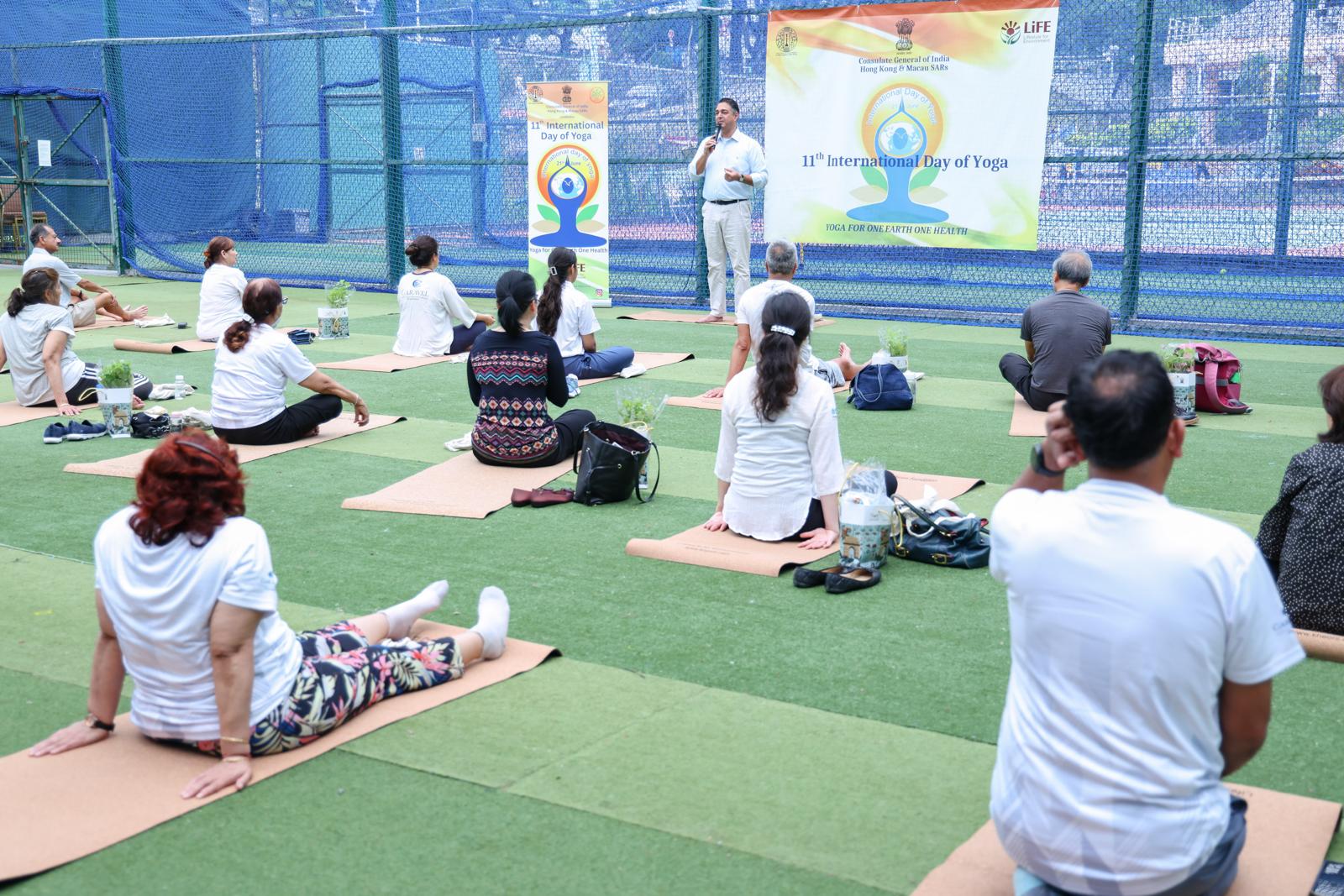 Yogo-img-14